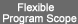 Flexible Program Scope